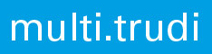 Banner: multi.trudi artspace - a partner of Thing Frankfurt